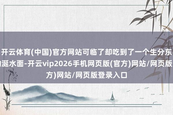 开云体育(中国)官方网站可临了却吃到了一个生分东说念主的涎水面-开云vip2026手机网页版(官方)网站/网页版登录入口