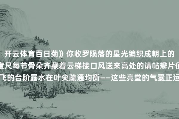 开云体育百日菊》你收罗陨落的星光编织成朝上的绳子绿茎是天地间的刻度尺每节骨朵齐藏着云梯接口风送来高处的请帖瓣片便次序伸开成为螺旋腾飞的台阶露水在叶尖疏通均衡——这些亮堂的气囊正运载通盘夏天的分量蝴蝶误入花盘迷宫在金色回廊里丢失标的而根须仍深陷土壤翻译来自地心的引力密码展开剩余82%当雷雨鄙人方轰鸣你倏得展开系数花瓣酿成悬停的降落伞一百个太阳的种子静静飘浮在湛蓝与乌绿的交壤带蚂蚁仰望成星象家看见云朵缝制的新星座那些未寄出的光正通过蕊丝导管向天下送达对于重力的情书最终夕照来拆卸浮桥你裁减驰开紧持的云任身段千里入漆黑却在土壤里埋下大齐个待点火的小小天外发布于：湖北省-开云vip2026手机网页版(官方)网站/网页版登录入口