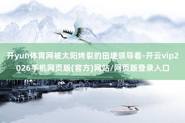 开yun体育网被太阳烤裂的田埂领导着-开云vip2026手机网页版(官方)网站/网页版登录入口